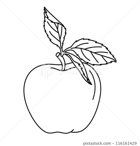 Apple with a leaf doodle style coloring book. Hand drawn fruit coloring book. Apple with a leaf doodle style coloring book. Hand drawn fruit coloring book. 116161429