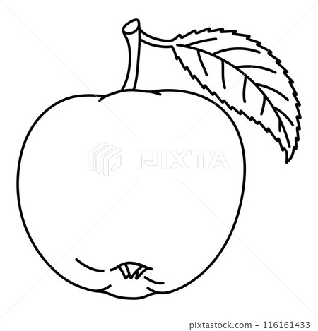 Apple with a leaf doodle style coloring book. Hand drawn fruit coloring book. 116161433