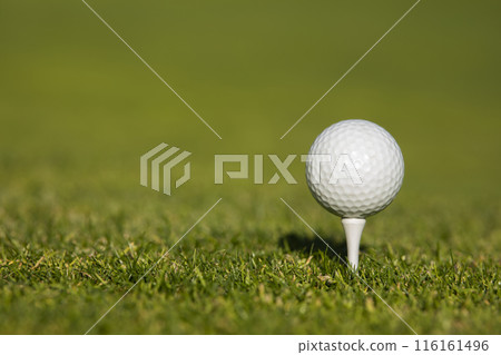 .Golf course with ball and grass .Golf course with ball and grass 116161496
