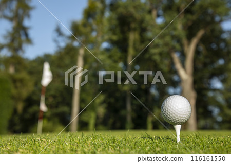 .Golf course with ball and grass .Golf course with ball and grass 116161550