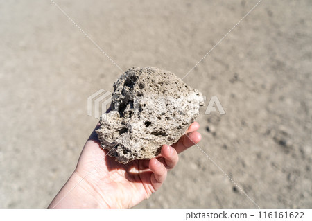 Volcano Stones in Hand, Volcanic Pumice with Glass, Pieces of Lava, Basalt Extrusive Igneous Rock Volcano Stones in Hand, Volcanic Pumice with Glass, Pieces of Lava, Basalt Extrusive Igneous Rock 116161622