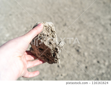 Volcano Stones in Hand, Volcanic Pumice with Glass, Pieces of Lava, Basalt Extrusive Igneous Rock Volcano Stones in Hand, Volcanic Pumice with Glass, Pieces of Lava, Basalt Extrusive Igneous Rock 116161624