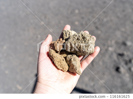 Volcano Stones in Hand, Volcanic Pumice with Glass, Pieces of Lava, Basalt Extrusive Igneous Rock Volcano Stones in Hand, Volcanic Pumice with Glass, Pieces of Lava, Basalt Extrusive Igneous Rock 116161625