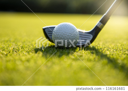 Sport and lifestyle, golf player playing in a golf club 116161681