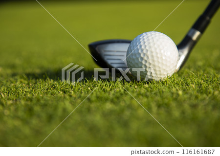 Sport and lifestyle, golf player playing in a golf club 116161687