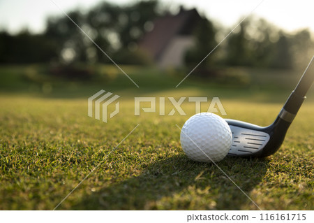 Closeup Golf ball on green grass on course, Sport and lifestyle Closeup Golf ball on green grass on course, Sport and lifestyle 116161715