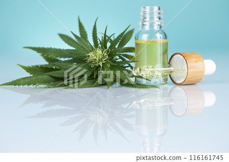 Hemp cbd oil, cannabis leaves, hemp seeds and bottles of oil 116161745