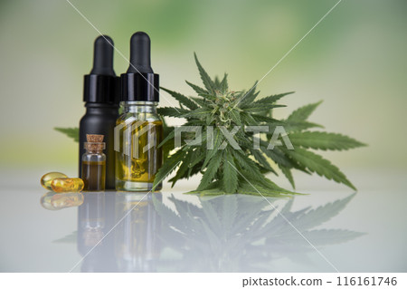 Cannabis leaf with hemp seeds and marijuana oil, cbd Cannabis leaf with hemp seeds and marijuana oil, cbd 116161746
