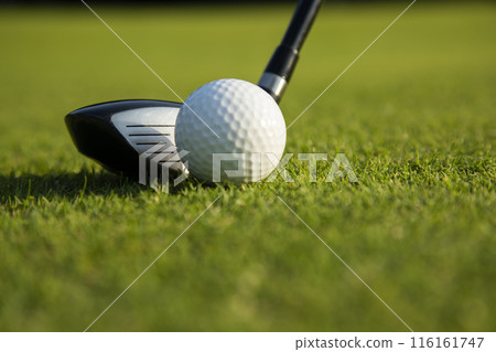 Closeup Golf ball on green grass on course, Sport and lifestyle Closeup Golf ball on green grass on course, Sport and lifestyle 116161747