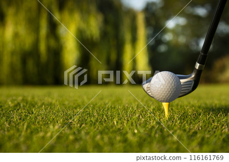 Sport and lifestyle, golf player playing in a golf club Sport and lifestyle, golf player playing in a golf club 116161769