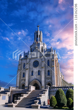 facade of Cathedral of Sacred Heart of Jesus. Ancient Roman Catholic Church in Tashkent in Uzbekistan in summer day 116162296