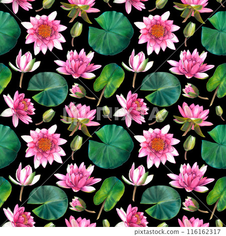 Seamless Pattern with green leaves, blooming water lily flowers and buds. Hand drawn watercolor illustration of lotus for wrapping paper, wallpaper or textile design. Print on dark black background. 116162317