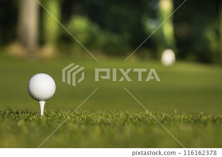 Closeup Golf ball on green grass on course Closeup Golf ball on green grass on course 116162378
