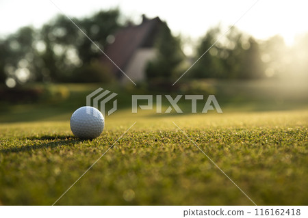 Golf ball and clubs in golf field 116162418