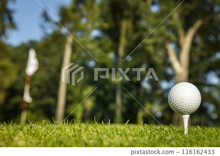.Golf course with ball and grass 116162433