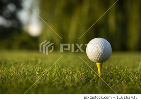 Golf course with ball and grass Golf course with ball and grass 116162435