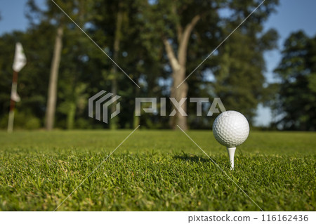 .Golf course with ball and grass 116162436