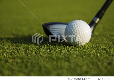 Closeup Golf ball on green grass on course, Sport and lifestyle 116162440