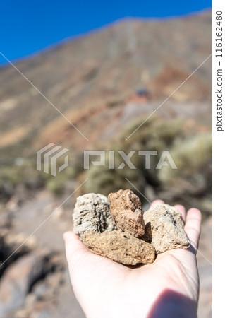 Volcano Stones in Hand, Volcanic Pumice with Glass, Pieces of Lava, Basalt Extrusive Igneous Rock Volcano Stones in Hand, Volcanic Pumice with Glass, Pieces of Lava, Basalt Extrusive Igneous Rock 116162480