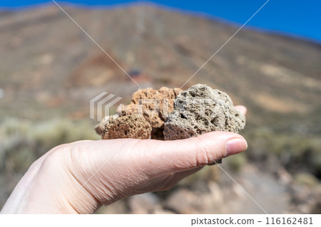 Volcano Stones in Hand, Volcanic Pumice with Glass, Pieces of Lava, Basalt Extrusive Igneous Rock 116162481
