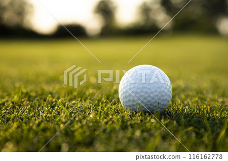 Closeup Golf ball on green grass on course, Sport and lifestyle Closeup Golf ball on green grass on course, Sport and lifestyle 116162778