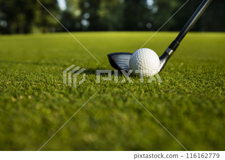 Sport and lifestyle, golf player playing in a golf club Sport and lifestyle, golf player playing in a golf club 116162779