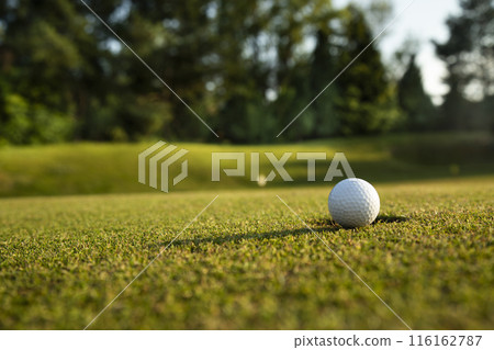 Golf course with ball and grass 116162787