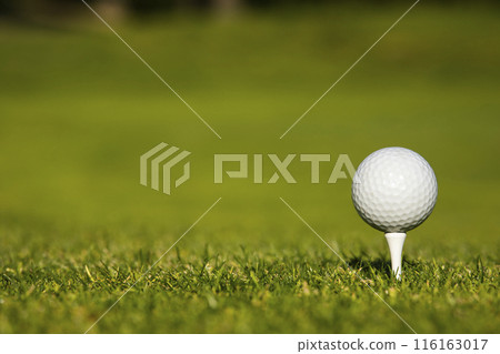 Golf ball and clubs in golf field Golf ball and clubs in golf field 116163017