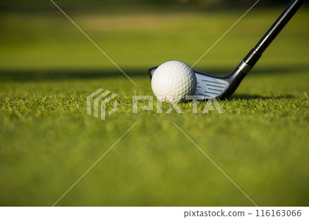 Sport and lifestyle, golf player playing in a golf club Sport and lifestyle, golf player playing in a golf club 116163066