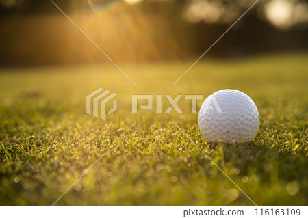 Golf course with ball and grass Golf course with ball and grass 116163109
