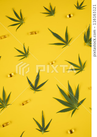 Flat lay composition, cbd, Cannabis leaves with marijuana Flat lay composition, cbd, Cannabis leaves with marijuana 116163121