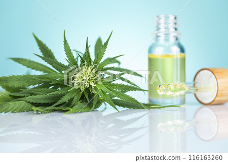 Cannabis leaf with hemp seeds and marijuana oil, cbd Cannabis leaf with hemp seeds and marijuana oil, cbd 116163260