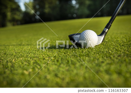 Playing Golf ball, course on a sunny day 116163307