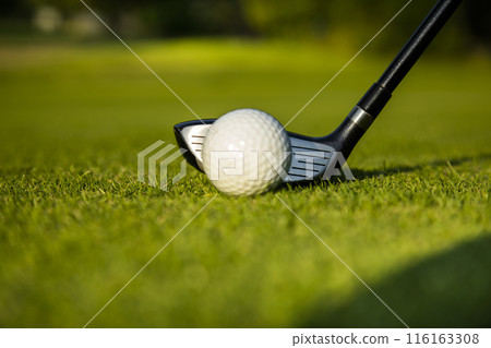 Sport and lifestyle, golf player playing in a golf club 116163308