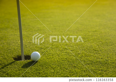 Closeup Golf ball on green grass on course Closeup Golf ball on green grass on course 116163358