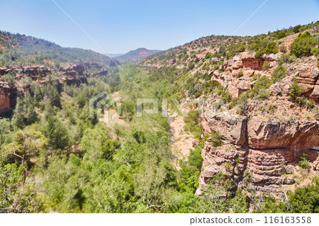 Sedona Red Rock Canyon with River and Greenery, Arizona 116163558