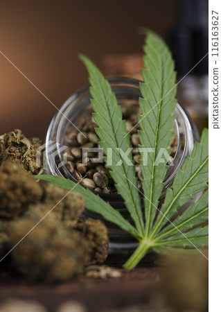 Cannabis leaves and Top view of marijuana, weed Cannabis leaves and Top view of marijuana, weed 116163627