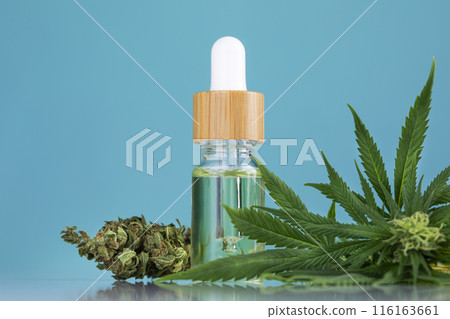 Cannabis leaf with hemp seeds and marijuana oil, cbd Cannabis leaf with hemp seeds and marijuana oil, cbd 116163661
