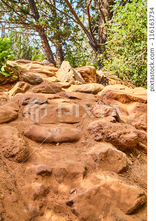 Rugged Hiking Trail in Lush Sedona Forest, Low Angle View 116163734