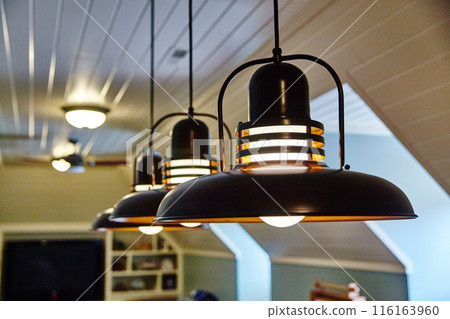 Modern Industrial Pendant Lights in Stylish Interior, Eye-Level View 116163960