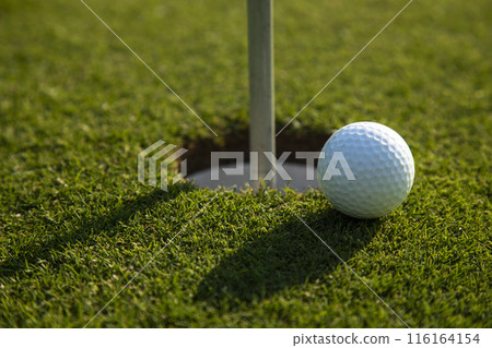 Closeup Golf ball on green grass on course Closeup Golf ball on green grass on course 116164154