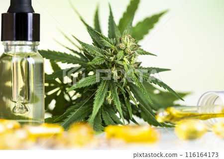 Hemp oil and cannabis leaves on light background 116164173