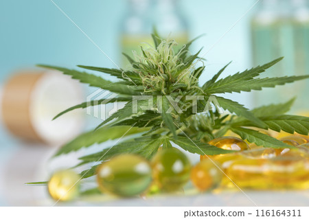 Marijuana oil, leaf and capsules on a white background Marijuana oil, leaf and capsules on a white background 116164311