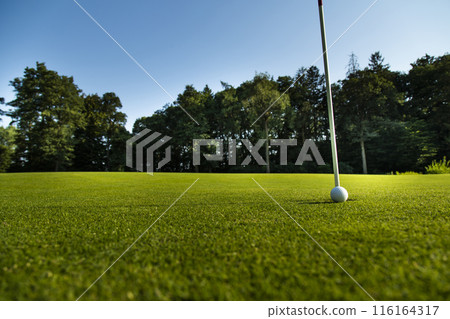 Closeup Golf ball on green grass on course Closeup Golf ball on green grass on course 116164317