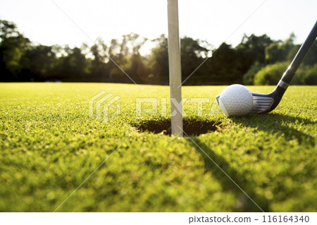 Sport and lifestyle, golf player playing in a golf club Sport and lifestyle, golf player playing in a golf club 116164340