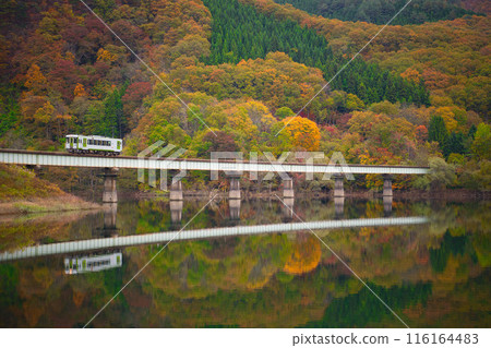 Kiha 110/100 116164483