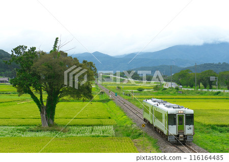 Kiha 110/100 116164485