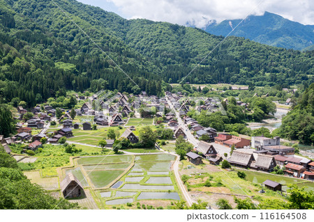 [Shirakawa-go] Summer Gassho Village seen from the observation deck 116164508