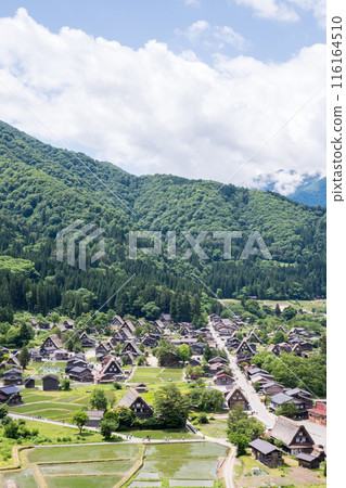 [Shirakawa-go] Summer Gassho Village seen from the observation deck 116164510