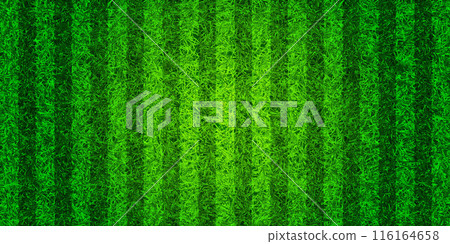 Soccer playing field with green grass. Football pitch background with stripes. Sports ground, stadium with fake or natural grass. Vector illustration Soccer playing field with green grass. Football pitch background with stripes. Sports ground, stadium with fake or natural grass. Vector illustration 116164658